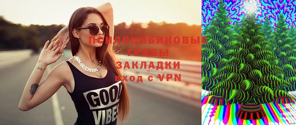 твердый Осинники