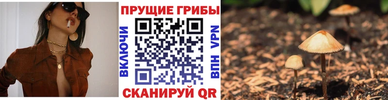 Галлюциногенные грибы Psilocybe  закладка  Новороссийск 