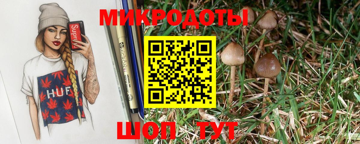 Галлюциногенные грибы Cubensis  Вход с VPN  Новороссийск 